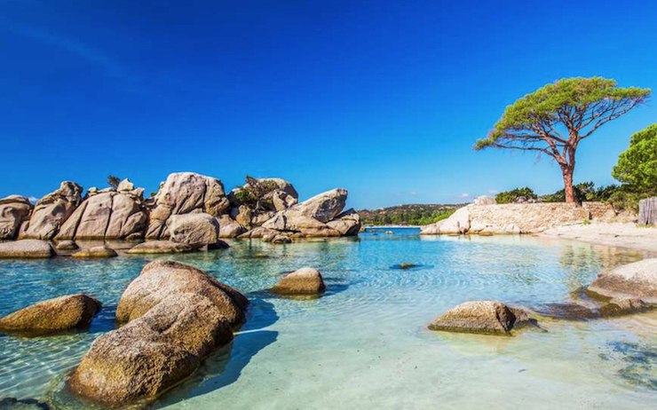 Vacances à Palombaggia : comment loger dans le confort ?