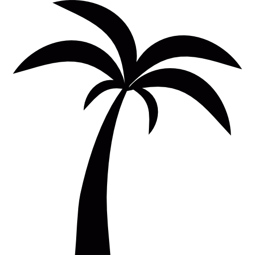 palmier